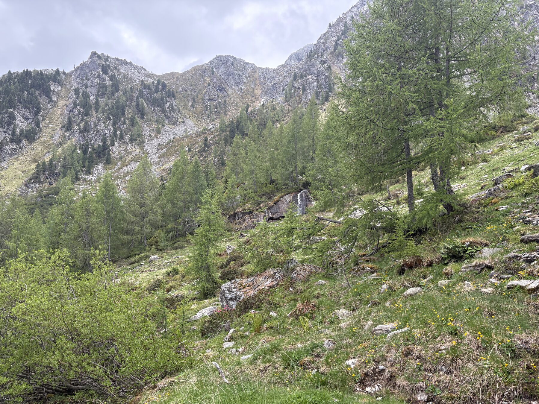 Bergpanorama mit grünem Tal