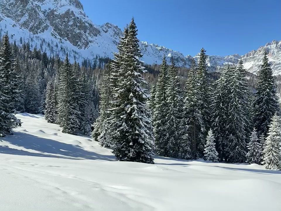Verschneiter Winterwald